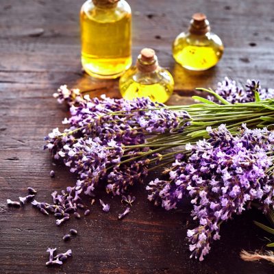Bunches of fresh lavender with three small bottles of essential oil or extract for aromatherapy or alternative medicine lying on rustic wood with copy space